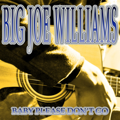 Baby Please Don't Go