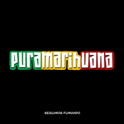 Seguimos Fumando