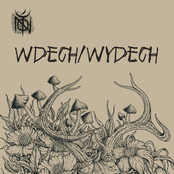 Wdech/wydech