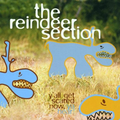 Sting by The Reindeer Section