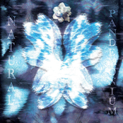 Natural Pandemonium