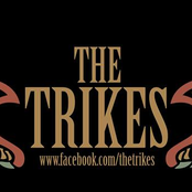 the trikes