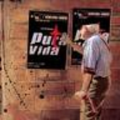 Pura Vida - Puta Vida