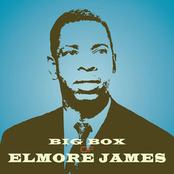 Big Box of Elmore James