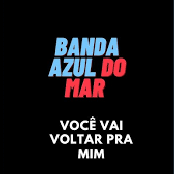 Você Vai Voltar pra Mim