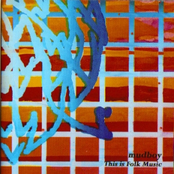 This is Folk Music- mudboy volume IV.