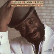 Wings by James Blood Ulmer