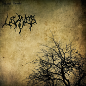 Leaves (feat. Dormido)