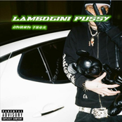 Lambogini Pussy