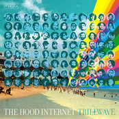 Feel It On The South Side (birdman X Washed Out) by The Hood Internet