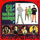 ゴーゴー！シャープ・ホークス！