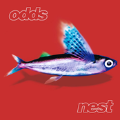 The Odds: Nest