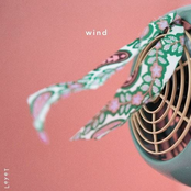 wind