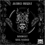 Bass Voodoo