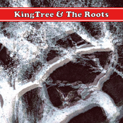 king tree & the roots