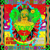 Gizmo Varillas: Freedom For a Change