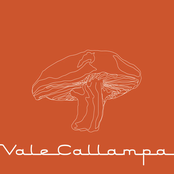 vale callampa