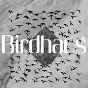 birdhaus