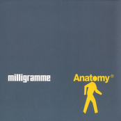 Anatomy