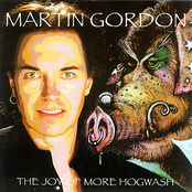 The Joy Of More Hogwash by Martin Gordon