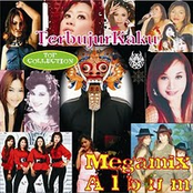 Megamix Album (Koplo Goes to Breakcore)