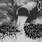 Waste Is A New Life