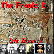 Life Insanity