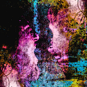 A Midsummer's Nightmare