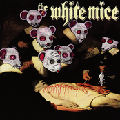 The Maze by White Mice
