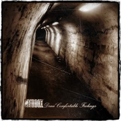 Dead Confortable Feelings