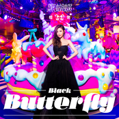 Black Butterfly