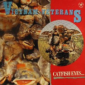 catfish eyes and tales