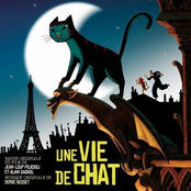 Nuit De Chat by Serge Besset