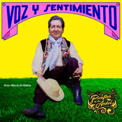 Voz y Sentimiento