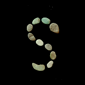 Success of the Snake