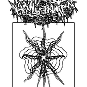 Split Discography '17-'19