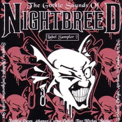 The Gothic Sounds Of Nightbreed 2