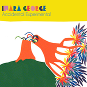 Inara George: Accidental Experimental