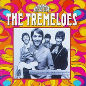 I Swear by The Tremeloes