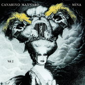 canarino mannaro