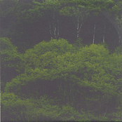 Things of that Nature