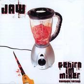 Gehirn In Den Mixer by Jaw