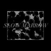 Flashlight + Heavenly Haze