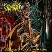 Mass Sufferings of a Human Being