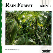 Rain Forest by G.e.n.e.