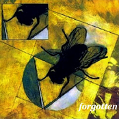 Forgotten