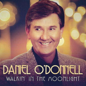 Walkin' in the Moonlight