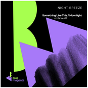 Something Like This / Moonlight