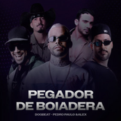 Pegador de Boiadeira
