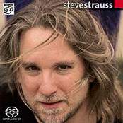 steve strauss